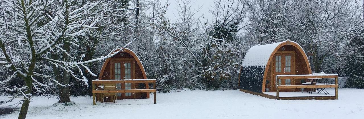 Hotel Glamping At Treegrove Kilkenny Zewnętrze zdjęcie