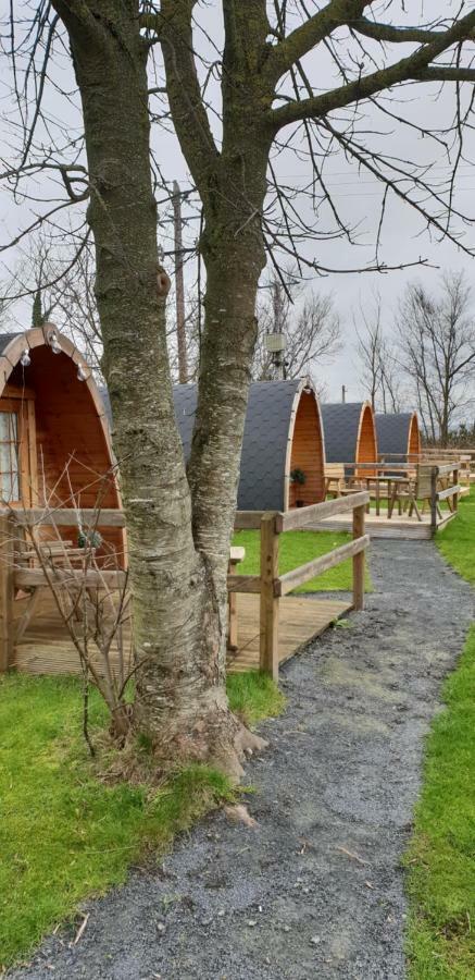 Hotel Glamping At Treegrove Kilkenny Zewnętrze zdjęcie